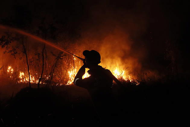 Forest And Peatland Fire In Ogan Ilir, South Sumatra A firefighter from the Ogan Ilir Regional Disaster Management Agency (BPBD) works to extinguish a forest and land fire along the Palembang-Inderalaya highway in Sungai Rambutan, Ogan Ilir Regency, South Sumatra, on September 11, 2026. Ogan Ilir, South Sumatra Indonesia  Copyright: xSigitxPrasetyax originalFilename: prasetya-notitle260911_npplJ