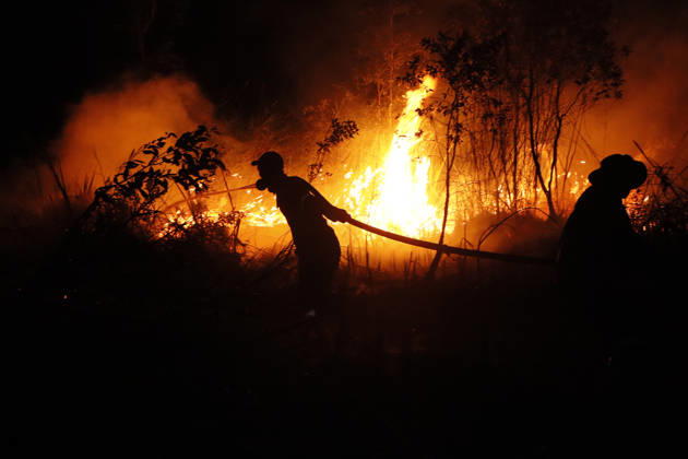 Forest And Peatland Fire In Ogan Ilir, South Sumatra A firefighter from the Ogan Ilir Regional Disaster Management Agency (BPBD) works to extinguish a forest and land fire along the Palembang-Inderalaya highway in Sungai Rambutan, Ogan Ilir Regency, South Sumatra, on September 11, 2026. Ogan Ilir, South Sumatra Indonesia  Copyright: xSigitxPrasetyax originalFilename: prasetya-notitle260911_nppyN