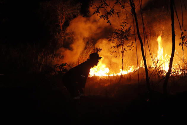 Forest And Peatland Fire In Ogan Ilir, South Sumatra A firefighter from the Ogan Ilir Regional Disaster Management Agency (BPBD) works to extinguish a forest and land fire along the Palembang-Inderalaya highway in Sungai Rambutan, Ogan Ilir Regency, South Sumatra, on September 11, 2026. Ogan Ilir, South Sumatra Indonesia  Copyright: xSigitxPrasetyax originalFilename: prasetya-notitle260911_npRA8