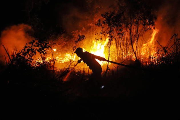 Forest And Peatland Fire In Ogan Ilir, South Sumatra A firefighter from the Ogan Ilir Regional Disaster Management Agency (BPBD) works to extinguish a forest and land fire along the Palembang-Inderalaya highway in Sungai Rambutan, Ogan Ilir Regency, South Sumatra, on September 11, 2026. Ogan Ilir, South Sumatra Indonesia  Copyright: xSigitxPrasetyax originalFilename: prasetya-notitle260911_npSFz