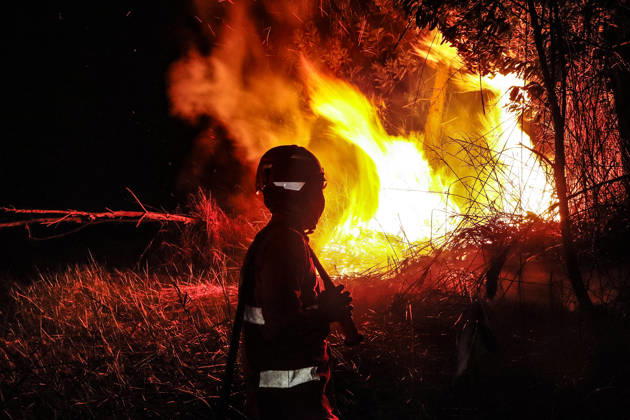 Forest And Peatland Fire In Ogan Ilir, South Sumatra A firefighter from the Ogan Ilir Regional Disaster Management Agency (BPBD) works to extinguish a forest and land fire along the Palembang-Inderalaya highway in Sungai Rambutan, Ogan Ilir Regency, South Sumatra, on September 11, 2026. Ogan Ilir, South Sumatra Indonesia  Copyright: xSigitxPrasetyax originalFilename: prasetya-notitle260911_npYDw