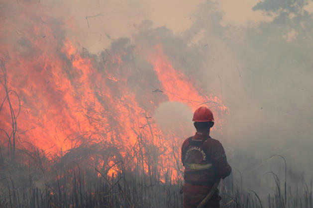 Wildfire In Sumatera, Indonesia An Indonesian Manggala Agni firefighter works to extinguish wildfires in Sungai Rambutan, Ogan Ilir Regency, South Sumatra, Indonesia, on September 12, 2026. El Nino conditions are contributing to wildfires across Indonesia, which have caused respiratory illnesses in approximately 113,336 people, according to the country s health officials. High-intensity wildfires on the islands of Borneo and Sumatra are worsening air quality and affecting neighboring countries in Southeast Asia, including Malaysia, Singapore and the Philippines. Ogan ilir Indonesia  Copyright: xMuhammadxFajrix originalFilename: fajri-notitle260912_npb7u.jpg