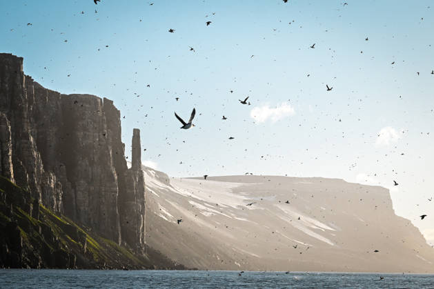 Creative Highlights World Shifting Arctic climate conditions threaten migratory bird habitats across Svalbard archipelago SVALBARD, NORWAY - JULY 13: Seabird colonies crowd steep cliff faces across the Svalbard archipelago in Norway on July 13, 2026. Climate crisis is altering sea ice coverage, food availability, and migration patterns for approximately 200 bird species that nest in the region. Local environmental authorities have implemented strict conservation zones. Muhammed Enes Yildirim Anadolu Svalbard Norway. Editorial use only. Please get in touch for any other usage.  Copyright: x2026xAnadoluxMuhammedxEnesxYildirimx