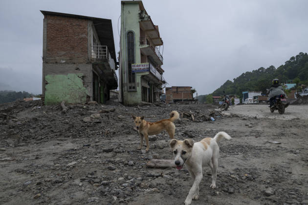 Aftermath of the devastating flash floods in Nepal NUWAKOT, NEPAL - SEPTEMBER 15: A view of dogs following the devastating flash floods on August 26 that struck Devighat, Nuwakot, Nepal, on September 15, 2026. People in the affected areas of Nuwakot continue to return in search of their destroyed homes and the last remaining memories of their lives. Some are trying to recover essential belongings from the rubble, while others are working with family members to remove soil from parts of their homes buried underground and make them habitable again. The destruction in Devighat village is severe. Many multi-storey buildings have collapsed, while some have been buried under earth up to the level of their fifth floors. Religious figures are also  Copyright: x2026xAnadoluxAbdulxGonix