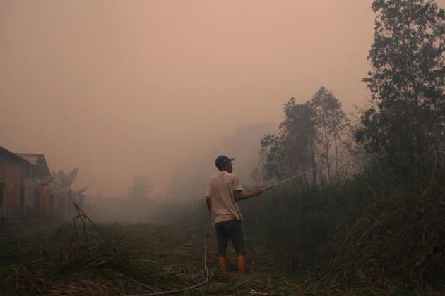 Wildfires fueled by El Nino affect Indonesia PALEMBANG, INDONESIA - SEPTEMBER 16: A man tries to extinguish a wildfire near his home in Sematang Borang district of Palembang, South Sumatra, Indonesia, on September 16, 2026. El Nino conditions are fueling wildfires across Indonesia, with around 113,336 cases of respiratory illness reported, according to health officials. Children under the age of 5 account for 26,545 cases, more than 20% of all recorded acute respiratory infection cases. Around 12.5 million people have been affected by wildfires, according to data from the Indonesian Health Ministry. Muhammad Fajri Anadolu Palembang Indonesia. Editorial use only. Please get in touch for any other usage. Copyright: x2026xAnadoluxMuhammadxFajrix