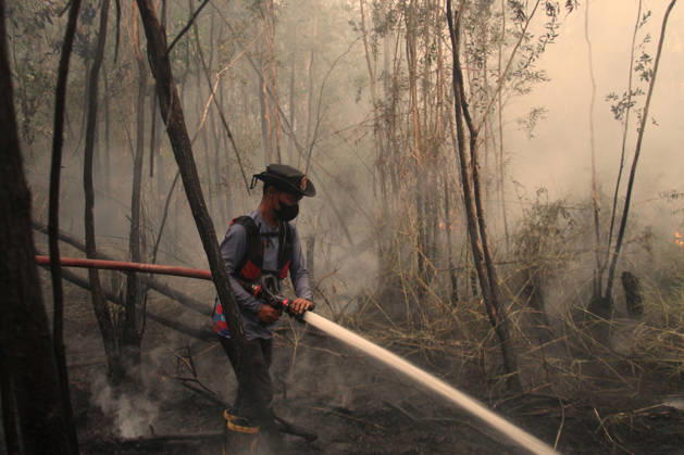 Wildfires fueled by El Nino affect Indonesia PALEMBANG, INDONESIA - SEPTEMBER 16: An Indonesian firefighter tries to extinguish a wildfire near resident area in Sematang Borang district of Palembang, South Sumatra, Indonesia, on September 16, 2026. El Nino conditions are fueling wildfires across Indonesia, with around 113,336 cases of respiratory illness reported, according to health officials. Children under the age of 5 account for 26,545 cases, more than 20% of all recorded acute respiratory infection cases. Around 12.5 million people have been affected by wildfires, according to data from the Indonesian Health Ministry. Muhammad Fajri Anadolu Palembang Indonesia. Editorial use only. Please get in touch for any other usage. Copyright: x2026xAnadoluxMuhammadxFajrix