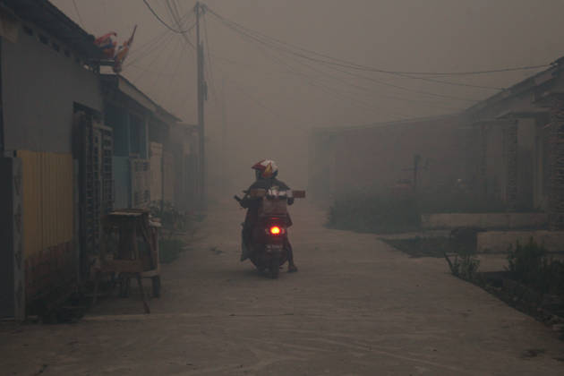 Wildfires fueled by El Nino affect Indonesia PALEMBANG, INDONESIA - SEPTEMBER 16: A motorist rides through the smoke as wildfire breaks out near their house in Sematang Borang district of Palembang, South Sumatra, Indonesia, on September 16, 2026. El Nino conditions are fueling wildfires across Indonesia, with around 113,336 cases of respiratory illness reported, according to health officials. Children under the age of 5 account for 26,545 cases, more than 20% of all recorded acute respiratory infection cases. Around 12.5 million people have been affected by wildfires, according to data from the Indonesian Health Ministry. Muhammad Fajri Anadolu Palembang Indonesia. Editorial use only. Please get in touch for any other usage. Copyright: x2026xAnadoluxMuhammadxFajrix