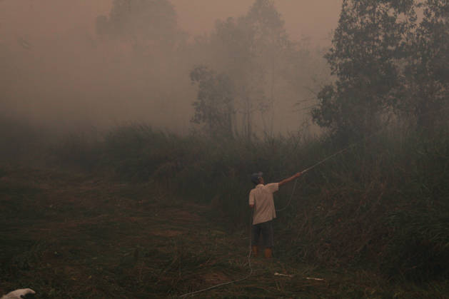 Wildfires fueled by El Nino affect Indonesia PALEMBANG, INDONESIA - SEPTEMBER 16: A man tries to extinguish a wildfire near his home in Sematang Borang district of Palembang, South Sumatra, Indonesia, on September 16, 2026. El Nino conditions are fueling wildfires across Indonesia, with around 113,336 cases of respiratory illness reported, according to health officials. Children under the age of 5 account for 26,545 cases, more than 20% of all recorded acute respiratory infection cases. Around 12.5 million people have been affected by wildfires, according to data from the Indonesian Health Ministry. Muhammad Fajri Anadolu Palembang Indonesia. Editorial use only. Please get in touch for any other usage. Copyright: x2026xAnadoluxMuhammadxFajrix