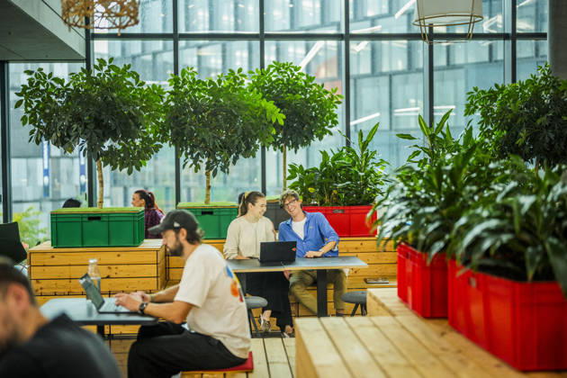 Fotostory Pressetermin bei Zalando: ZALANDO Outlet Store, Headquarters, and Workspaces in Berlin, photographed on September 16, 2026, Berlin, September 16, 2026, Berlin, Germany FOR EDITORIAL USE ONLY – IMAGE USE ONLY IN A ZALANDO CONTEXT Copyright: xDominikxButzmannx