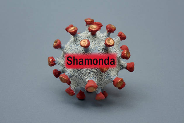 Virus model with Shamonda lettering; photomontage: Virus model with Shamonda lettering, September 29, 2026, Borkwalde, Brandenburg; The Shamonda lettering was superimposed onto a virus model