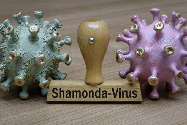 Virus models and a stamp featuring the Shamonda Virus; photomontage of virus models and a stamp featuring the Shamonda Virus, September 29, 2026, Borkwalde, Brandenburg; a stamp bearing the words Shamonda Virus stands between two virus models