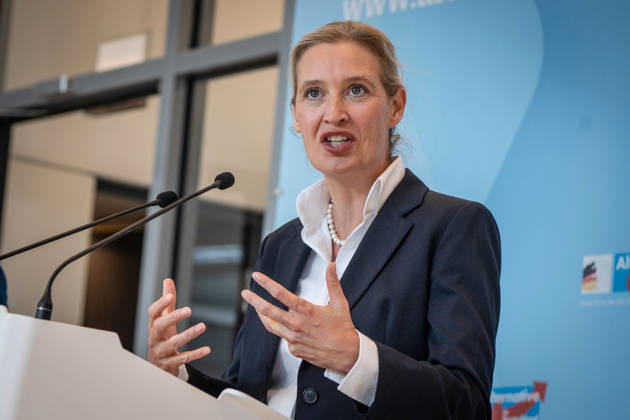 Alice Weidel, AfD Party and Parliamentary Group Chair Press statement by the two party chairs and parliamentary group chairs of the AfD before the start of the parliamentary group meeting in the German Bundestag, Berlin, Berlin, Germany, Bundestag