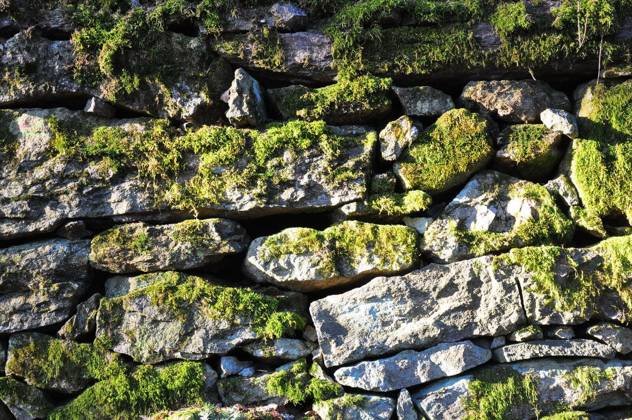 Granite wall with moss Copyright: xrbiedermannx Panthermedia68379752.jpg