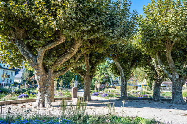 Sunshine Instead of Autumn Gray: Kehl Enjoys Mild October Weather; Sunny and, for this time of year, mild autumn weather on W Copyright: x xonw-imagesx x-x