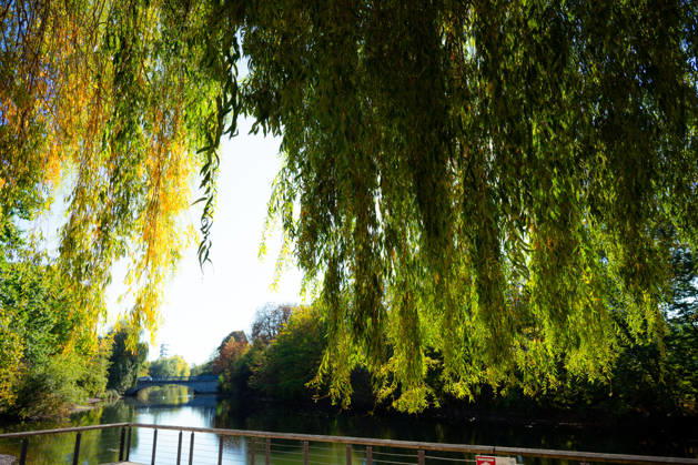 Sunshine Instead of Autumn Gray: Kehl Enjoys Mild October Weather; Sunny and, for this time of year, mild autumn weather on W Copyright: x xonw-imagesx x-x