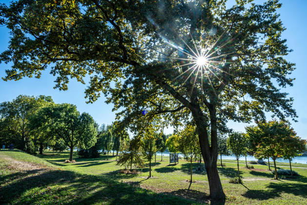 Sunshine Instead of Autumn Gray: Kehl Enjoys Mild October Weather; Sunny and, for this time of year, mild autumn weather on W Copyright: x xonw-imagesx x-x