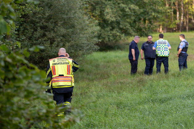 250-kg World War II Bomb Found in City Forest; Demolition Necessary on the Same Day On Wednesday, October 7, 2