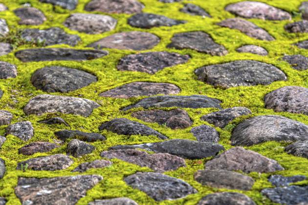 Runde Steine verschränken sich und bilden einen Weg. Lebendiges grünes Moos füllt Raum zwischen Steinen Round stones interlock creating pathway. Vibrant green moss fills space between stones Copyright: imageBROKER AskoldsxBerovskis ibxiqx18980316.jpg