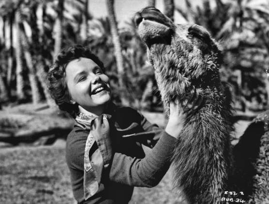Beauty And The Camel -- Close-up in the oasis or beautiful Hollywood star Wanda Hendrix and a friendly camel who appears in many scenes of South of Algiers with her. Wanda posed for this picture in the little town of Biskra, in the Sahara Desert, where several scenes of the Associated British - Mayflower production South of the Algiers were shut. Also starring in the film are Van Heflin and Eric Portman. Jack Lee directs. May 15, 1952.  Copyright: xAssociatedxBritish-PathexLtd.x 5513-81307811