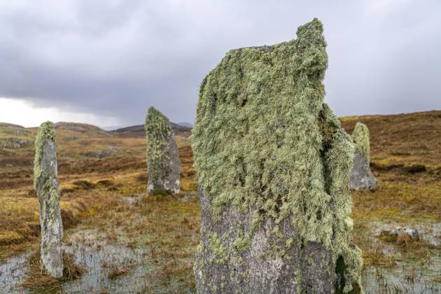Moos und Flechten wachsen auf einem alten stehenden Stein (mit verschwommenem Hintergrund) auf der Insel Lewis in den äußeren Hebriden, Schottland, Großbritannien Moss and lichen growing on an old standing stone (with blurred background) on Lewis Island in the outer Hebrides, Scotland, United Kingdom Copyright: imageBROKER dvlcomxdvlcom.co.uk ibxiqx19013159.jpg
