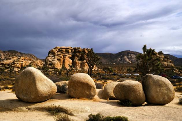 October 10, 2026, Joshua Tree, California, USA: Storm clouds fill the sky over the rocks and trees of Joshua Tree National Park. Tropical Storm Rachel is expected to bring heavy rain, flash flooding and strong winds to portions of Southern California, including the High Desert. The bulk of the storm is expected late Saturday through Tuesday. Joshua Tree USA - ZUMAr19_ 20261010_zap_r19_011 Copyright: xRuaridhxStewartx