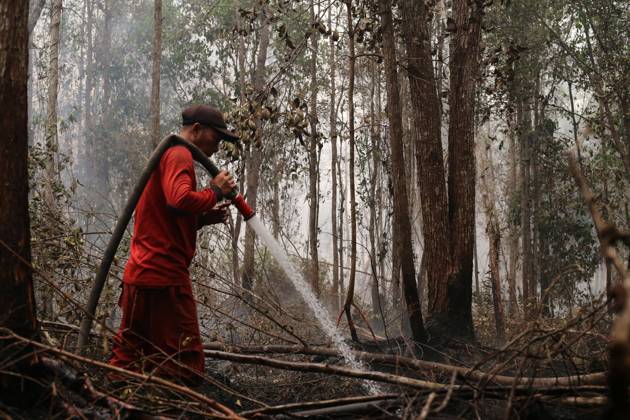 Firefighters battle forest fire in Central Kalimantan PALANGKA RAYA, CENTRAL KALIMANTAN, INDONESIA, OCTOBER 11, 2026: Members of Indonesia s Manggala Agni forest fire brigade work to extinguish a forest fire in the Sebangau area of Palangka Raya, Central Kalimantan. The firefighting team has been responding to fires affecting forests and community land in the region during the dry season. kalimantan Indonesia Copyright: x xReginaxSafrix xJNAxPressx