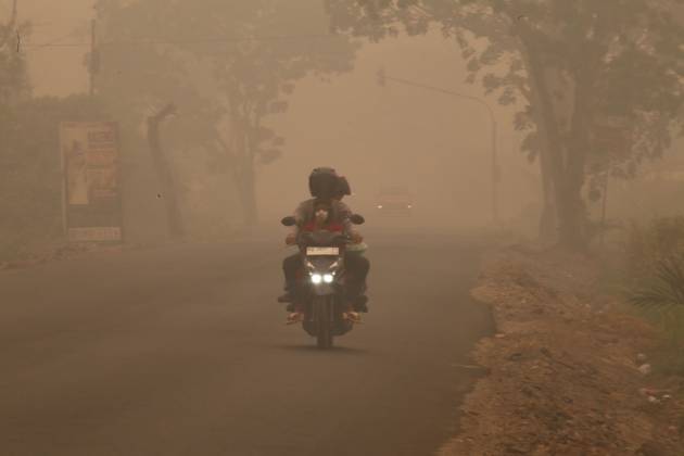 October 11, 2026, Kalimantan, Indonesia: PALANGKA RAYA, CENTRAL KALIMANTAN, INDONESIA, OCTOBER 11, 2026: Members of Indonesia s Manggala Agni forest fire brigade work to extinguish a forest fire in the Sebangau area of Palangka Raya, Central Kalimantan. The firefighting team has been responding to fires affecting forests and community land in the region during the dry season. Kalimantan Indonesia  - ZUMAq101 20261011_zna_q101_117 Copyright: xReginaxSafrix