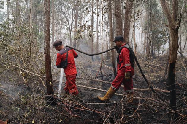 October 11, 2026, Kalimantan, Indonesia: PALANGKA RAYA, CENTRAL KALIMANTAN, INDONESIA, OCTOBER 11, 2026: Members of Indonesia s Manggala Agni forest fire brigade work to extinguish a forest fire in the Sebangau area of Palangka Raya, Central Kalimantan. The firefighting team has been responding to fires affecting forests and community land in the region during the dry season. Kalimantan Indonesia - ZUMAq101 20261011_zna_q101_119 Copyright: xReginaxSafrix