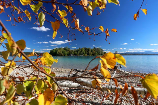 An autumn day in Feldafing, Feldafinger Park, Starnberg District. Here is a view of Lake Starnberg with Rose Island and colorful trees, fall foliage, deciduous trees, autumnal, play of colors, autumn leaves, fall colors, leaf coloration, red, yellow, red foliage, yellow foliage, natural spectacle, autumn scene, autumn impression, weather scene, golden October