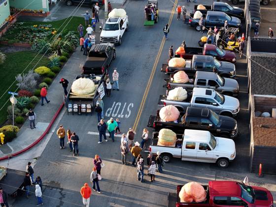 53rd Annual Safeway World Championship Pumpkin Weigh-Off in Half Moon Bay HALF MOON BAY, CA - OCTOBER 12: Giants pumpkins lined up for the 53rd annual Safeway World Championship Pumpkin Weigh-Off t the I.D.E.S. Grounds in Half Moon Bay, California, United States on October 12, 2026. Tayfun Coskun Anadolu California United States. Editorial use only. Please get in touch for any other usage.  Copyright: x2026xAnadoluxTayfunxCoskunx