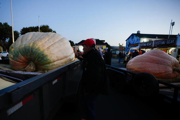 53rd Annual Safeway World Championship Pumpkin Weigh-Off in Half Moon Bay HALF MOON BAY, CA - OCTOBER 12: 53rd annual Safeway World Championship Pumpkin Weigh-Off is held at the I.D.E.S. Grounds in Half Moon Bay, California, United States on October 12, 2026. Tayfun Coskun Anadolu California United States. Editorial use only. Please get in touch for any other usage.  Copyright: x2026xAnadoluxTayfunxCoskunx