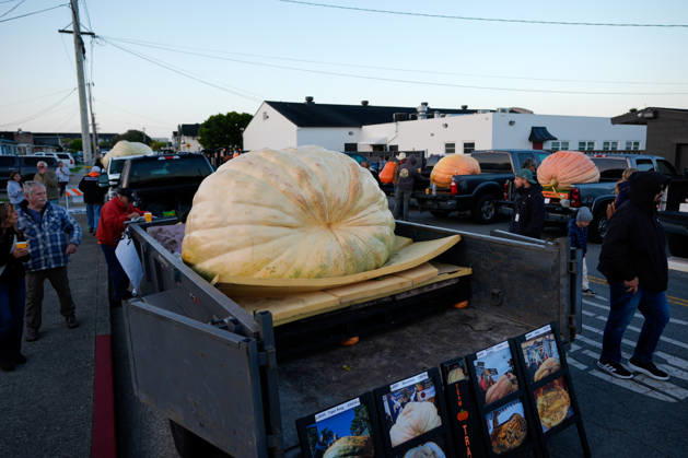 53rd Annual Safeway World Championship Pumpkin Weigh-Off in Half Moon Bay HALF MOON BAY, CA - OCTOBER 12: 53rd annual Safeway World Championship Pumpkin Weigh-Off is held at the I.D.E.S. Grounds in Half Moon Bay, California, United States on October 12, 2026. Tayfun Coskun Anadolu California United States. Editorial use only. Please get in touch for any other usage.  Copyright: x2026xAnadoluxTayfunxCoskunx