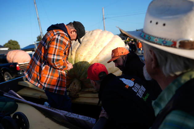 53rd Annual Safeway World Championship Pumpkin Weigh-Off in Half Moon Bay HALF MOON BAY, CA - OCTOBER 12: 53rd annual Safeway World Championship Pumpkin Weigh-Off is held at the I.D.E.S. Grounds in Half Moon Bay, California, United States on October 12, 2026. Tayfun Coskun Anadolu California United States. Editorial use only. Please get in touch for any other usage.  Copyright: x2026xAnadoluxTayfunxCoskunx
