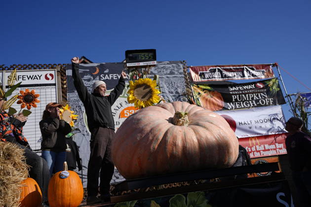 53rd Annual Safeway World Championship Pumpkin Weigh-Off in Half Moon Bay HALF MOON BAY, CA - OCTOBER 12: 53rd annual Safeway World Championship Pumpkin Weigh-Off is held at the I.D.E.S. Grounds in Half Moon Bay, California, United States on October 12, 2026. Tayfun Coskun Anadolu California United States. Editorial use only. Please get in touch for any other usage.  Copyright: x2026xAnadoluxTayfunxCoskunx