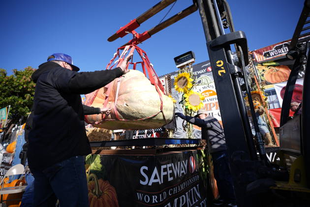 53rd Annual Safeway World Championship Pumpkin Weigh-Off in Half Moon Bay HALF MOON BAY, CA - OCTOBER 12: 53rd annual Safeway World Championship Pumpkin Weigh-Off is held at the I.D.E.S. Grounds in Half Moon Bay, California, United States on October 12, 2026. Tayfun Coskun Anadolu California United States. Editorial use only. Please get in touch for any other usage.  Copyright: x2026xAnadoluxTayfunxCoskunx