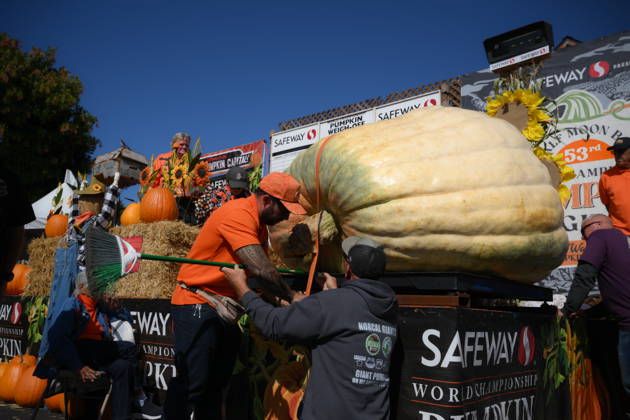 53rd Annual Safeway World Championship Pumpkin Weigh-Off in Half Moon Bay HALF MOON BAY, CA - OCTOBER 12: Travis Gienger from Anoka, Minnesota won with his giant pumpkin weighted 2,389 pound during the 53rd annual Safeway World Championship Pumpkin Weigh-Off is held at the I.D.E.S. Grounds in Half Moon Bay, California, United States on October 12, 2026. Tayfun Coskun Anadolu California United States. Editorial use only. Please get in touch for any other usage.  Copyright: x2026xAnadoluxTayfunxCoskunx