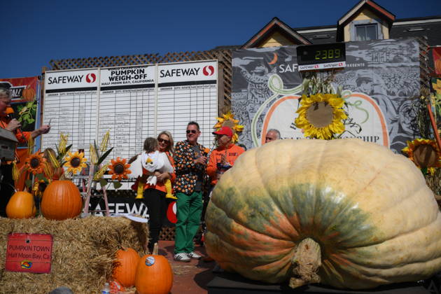 53rd Annual Safeway World Championship Pumpkin Weigh-Off in Half Moon Bay HALF MOON BAY, CA - OCTOBER 12: Travis Gienger from Anoka, Minnesota won with his giant pumpkin weighted 2,389 pound during the 53rd annual Safeway World Championship Pumpkin Weigh-Off is held at the I.D.E.S. Grounds in Half Moon Bay, California, United States on October 12, 2026. Tayfun Coskun Anadolu California United States. Editorial use only. Please get in touch for any other usage.  Copyright: x2026xAnadoluxTayfunxCoskunx