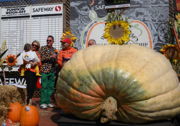 53rd Annual Safeway World Championship Pumpkin Weigh-Off in Half Moon Bay HALF MOON BAY, CA - OCTOBER 12: Travis Gienger from Anoka, Minnesota won with his giant pumpkin weighted 2,389 pound during the 53rd annual Safeway World Championship Pumpkin Weigh-Off is held at the I.D.E.S. Grounds in Half Moon Bay, California, United States on October 12, 2026. Tayfun Coskun Anadolu California United States. Editorial use only. Please get in touch for any other usage.  Copyright: x2026xAnadoluxTayfunxCoskunx