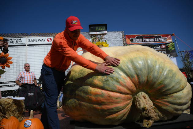 53rd Annual Safeway World Championship Pumpkin Weigh-Off in Half Moon Bay HALF MOON BAY, CA - OCTOBER 12: Travis Gienger from Anoka, Minnesota won with his giant pumpkin weighted 2,389 pound during the 53rd annual Safeway World Championship Pumpkin Weigh-Off is held at the I.D.E.S. Grounds in Half Moon Bay, California, United States on October 12, 2026. Tayfun Coskun Anadolu California United States. Editorial use only. Please get in touch for any other usage.  Copyright: x2026xAnadoluxTayfunxCoskunx