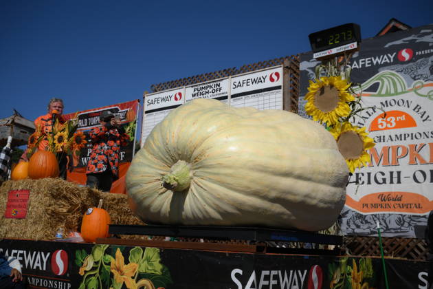 53rd Annual Safeway World Championship Pumpkin Weigh-Off in Half Moon Bay HALF MOON BAY, CA - OCTOBER 12: Jake Leonard from Rocklin, California gets second place with his giant pumpkin weighted 2.273 pound during the 53rd annual Safeway World Championship Pumpkin Weigh-Off is held at the I.D.E.S. Grounds in Half Moon Bay, California, United States on October 12, 2026. Tayfun Coskun Anadolu California United States. Editorial use only. Please get in touch for any other usage.  Copyright: x2026xAnadoluxTayfunxCoskunx