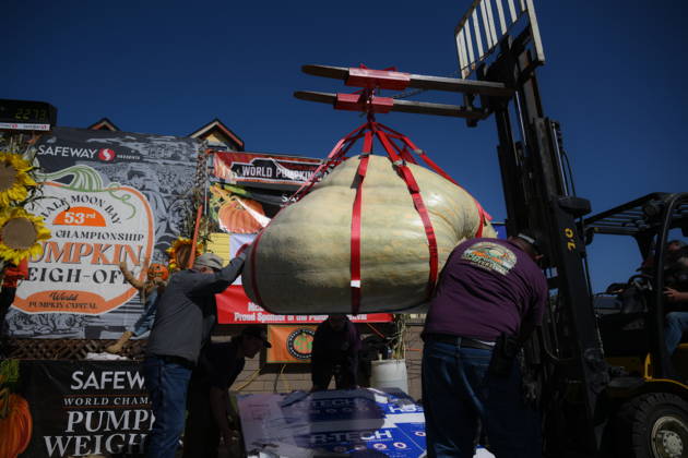 53rd Annual Safeway World Championship Pumpkin Weigh-Off in Half Moon Bay HALF MOON BAY, CA - OCTOBER 12: Jake Leonard from Rocklin, California gets second place with his giant pumpkin weighted 2.273 pound during the 53rd annual Safeway World Championship Pumpkin Weigh-Off is held at the I.D.E.S. Grounds in Half Moon Bay, California, United States on October 12, 2026. Tayfun Coskun Anadolu California United States. Editorial use only. Please get in touch for any other usage.  Copyright: x2026xAnadoluxTayfunxCoskunx