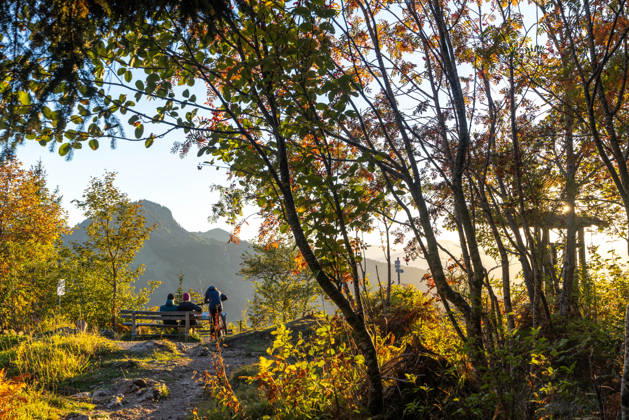 Autumn evening in the Allgäu: A view of the setting sun in the Bavarian Alps near Oberjoch, Bad Hindelang, Bavaria, Germany