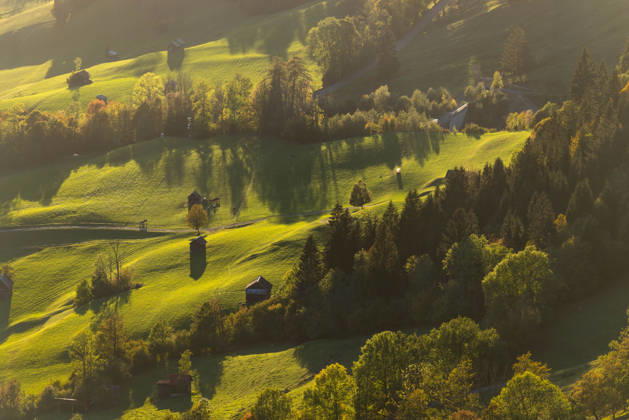 Autumn Evening in the Allgäu: The evening sun shines on the autumn landscape, Bad Hindelang, Bavaria, Germany