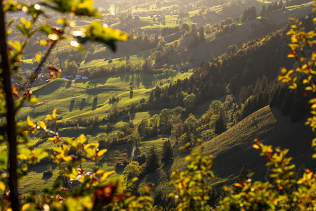 An Autumn Evening in the Allgäu: The evening sun shines on the autumn landscape near Bad Hindelang, Bad Hindelang, Bavaria, Germany