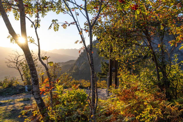 Autumn evening in the Allgäu: A view of the setting sun in the Bavarian Alps near Oberjoch, Bad Hindelang, Bavaria, Germany