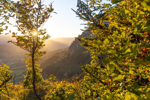 Autumn evening in the Allgäu: A view of the setting sun in the Bavarian Alps near Oberjoch, Bad Hindelang, Bavaria, Germany