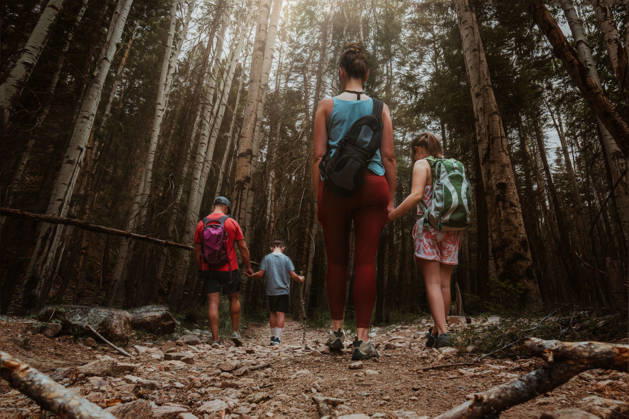 Family of four hiking together through a dense forest Tulsa, Oklahoma, United States CR_KRRY261009-2124148-01 ,model released, Symbolfoto ,property released