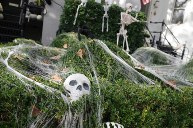 Halloween Decorations in Washington, DC Halloween themed decorations at a house downtown Washington, DC on October 13, 2026. Photo by Olivier Douliery ABACAPRESS.COM Washington Virginia United States  Copyright: xDoulieryxOlivier ABACAx