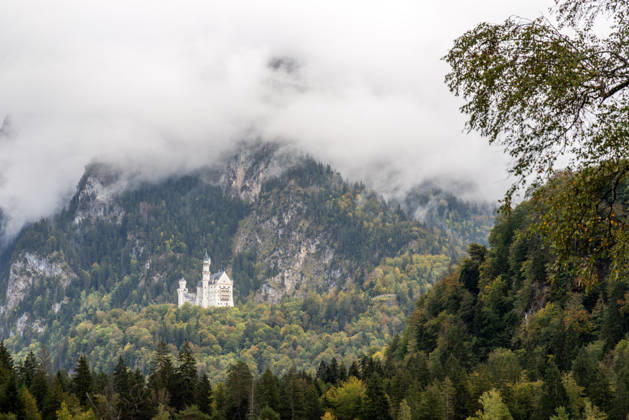 Fall in the Allgäu: A view of the fall landscape with Neuschwanstein Castle, Schwangau, Bavaria, Germany