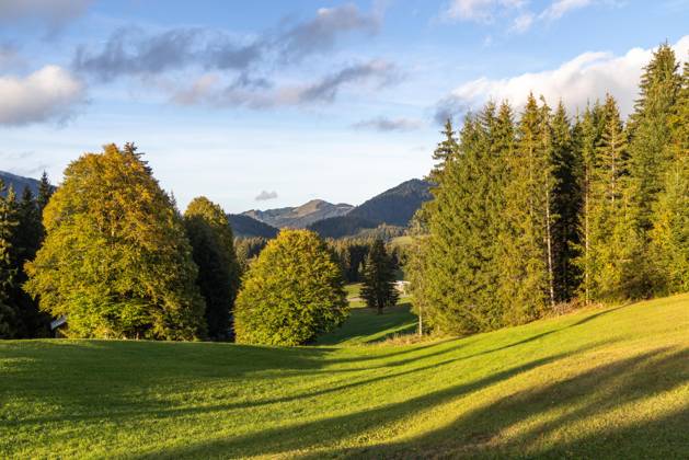 Autumn Evening in the Allgäu: Evening Scenery at Oberjoch in the Allgäu, Bad Hindelang, Bavaria, Germany